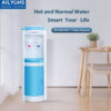 AILYONS Hot and Normal Water Dispenser