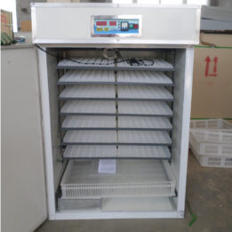 Electric egg incubator with digital temperature display and automatic egg turning feature.