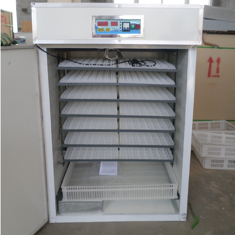 Electric egg incubator with digital temperature display and automatic egg turning feature.